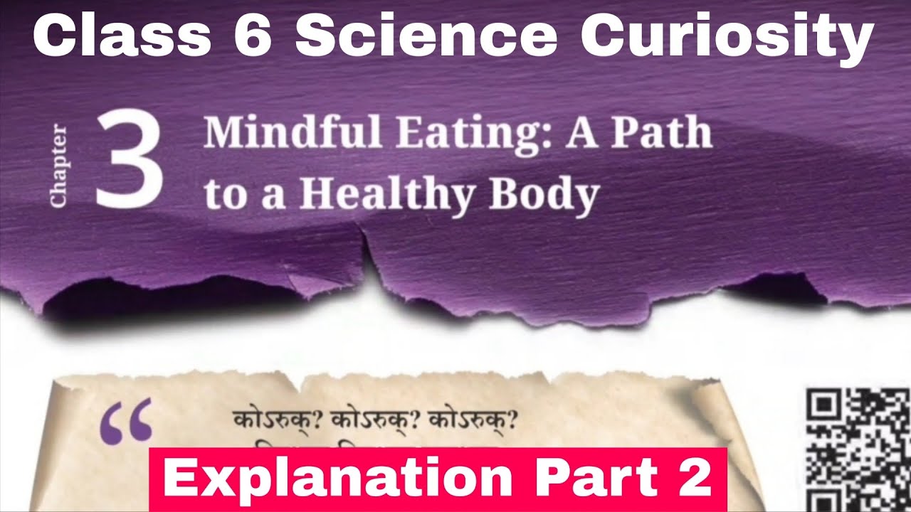 Class 6 Science Curiosity chapter 3 Mindful: Eating A Path to a Healthy Body | Explanation Part 2