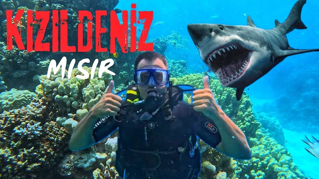 MISIR VLOG PART 2   ORTADOĞU'NUN İNCİSİ KIZILDENİZ'İN KALBİNE DALDIM !