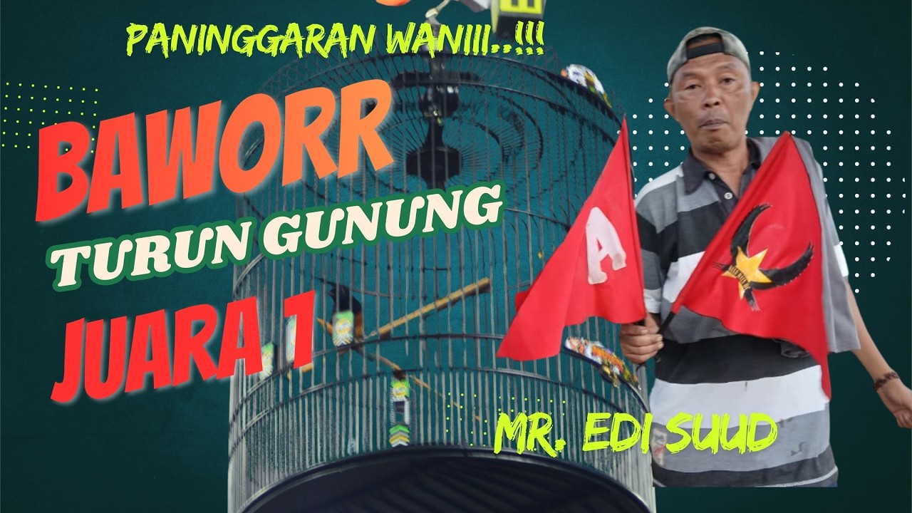 Paninggaran Wanii...!!! Bawor Bikin Kejutan di Kulu Raya Pekalongan