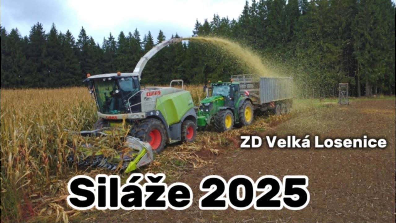 Siláže 2025 🌽 | ZD Velká Losenice 