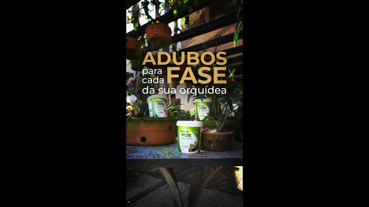 Quais adubos são para cada fase da sua orquídea?