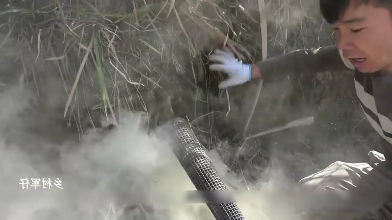 Effective Smoke Method to Catch Rats – A Whole Bunch Came Out at Once