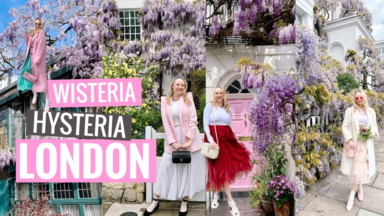 Wisteria in London Walk - Best Places in Notting Hill, Kensington & Chelsea