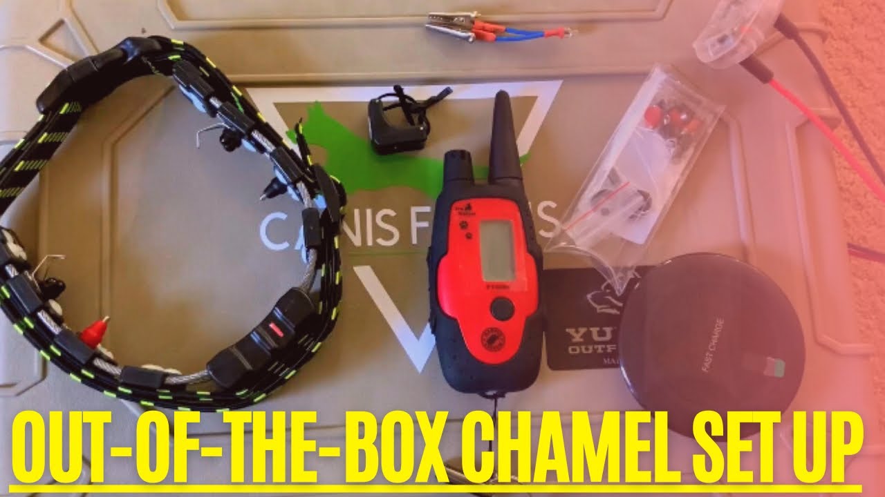 Chameleon III / PT3000 Out of the Box (Set-Up for Tango)