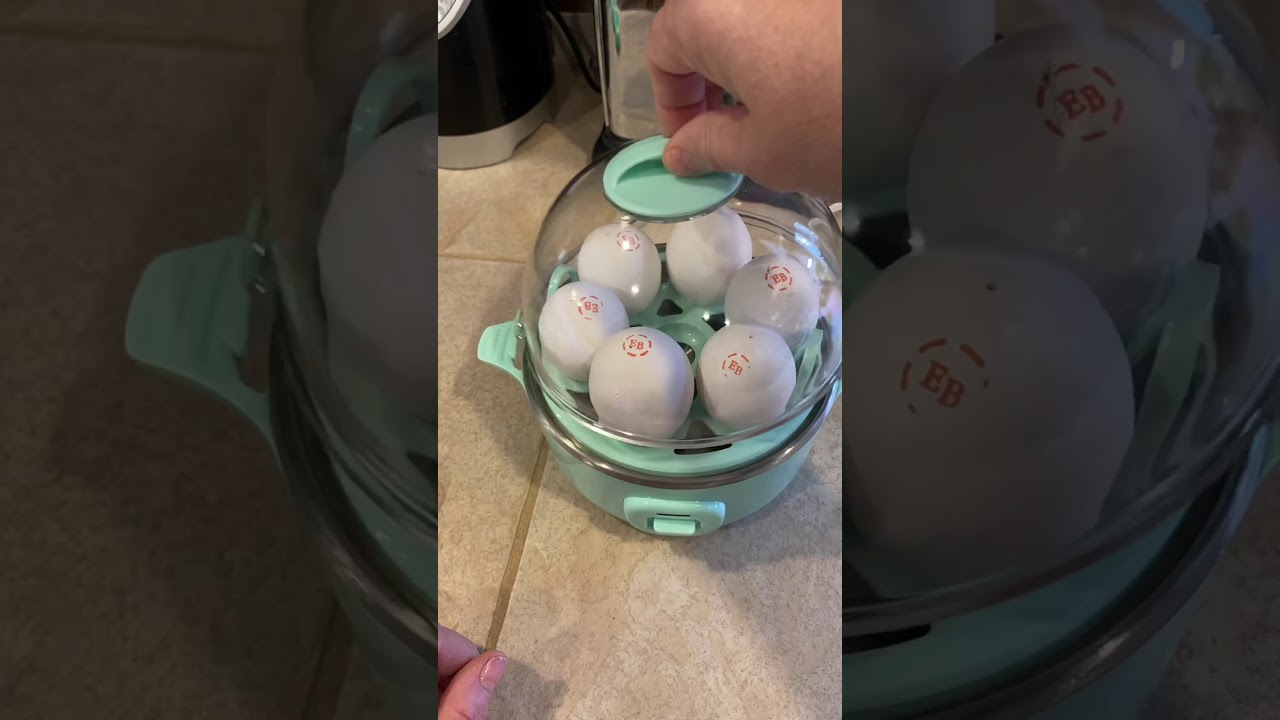 WW Dash Egg Cooker - LOVE IT!