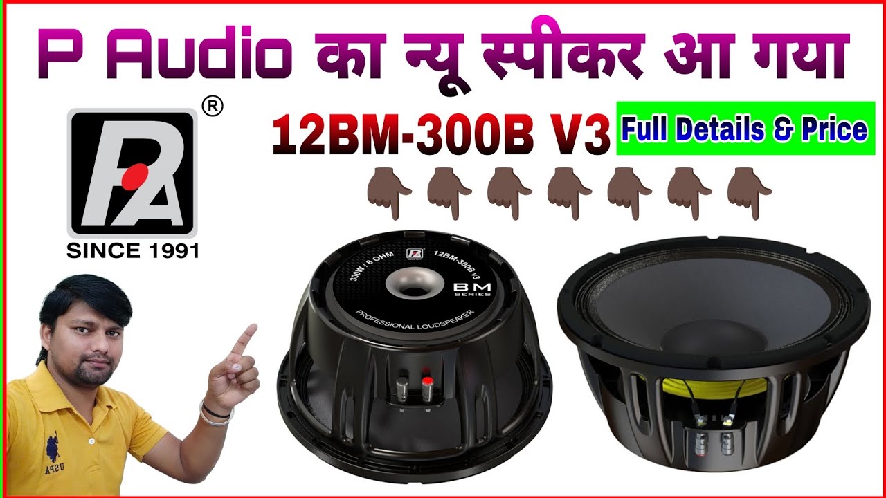 p audio speaker | p audio 300 watt speaker price | model 12bm-300b v3 | full details & price