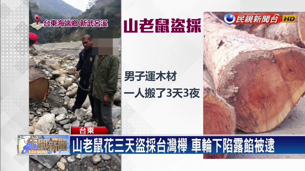 山老鼠花三天盜採台灣櫸 車輪下陷露餡被逮－民視新聞
