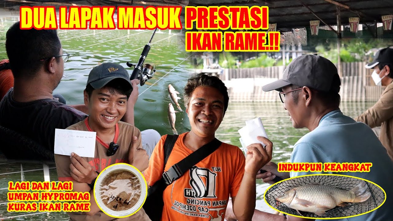 DUA LAPAK MASUK PRESTASI IKAN RAME || INDUKPUN KEANGKAT