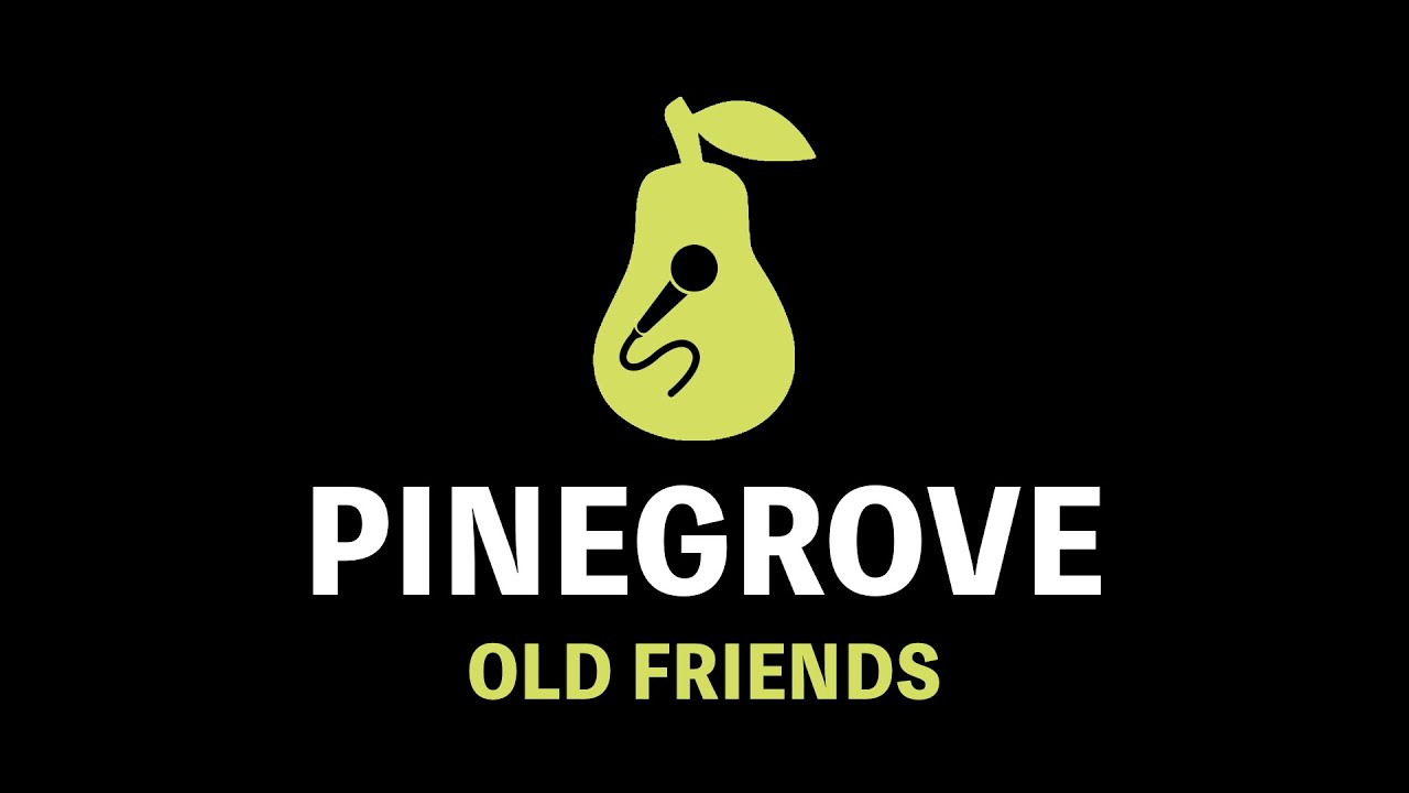 Pinegrove - Old Friends (Karaoke)