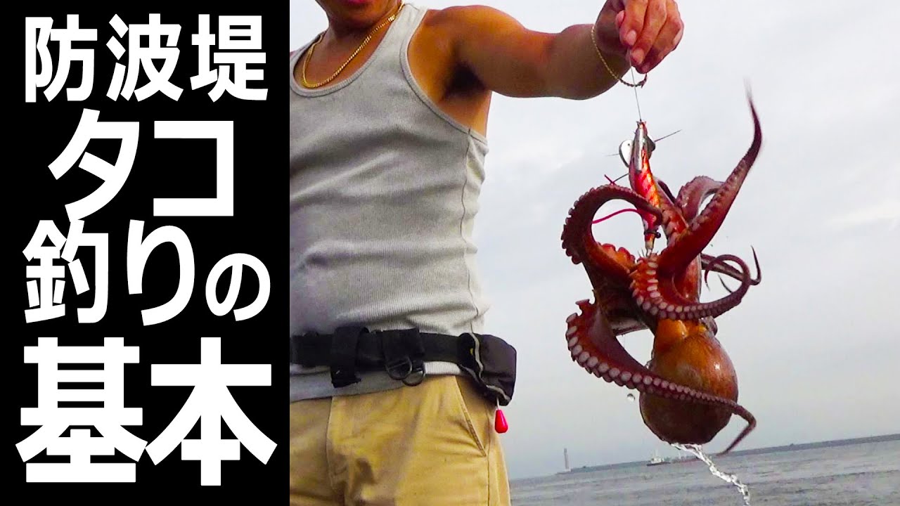 よく釣る人はこんなことやってたの？ 防波堤【タコ釣り】関電波止で爆釣タコエギ攻略