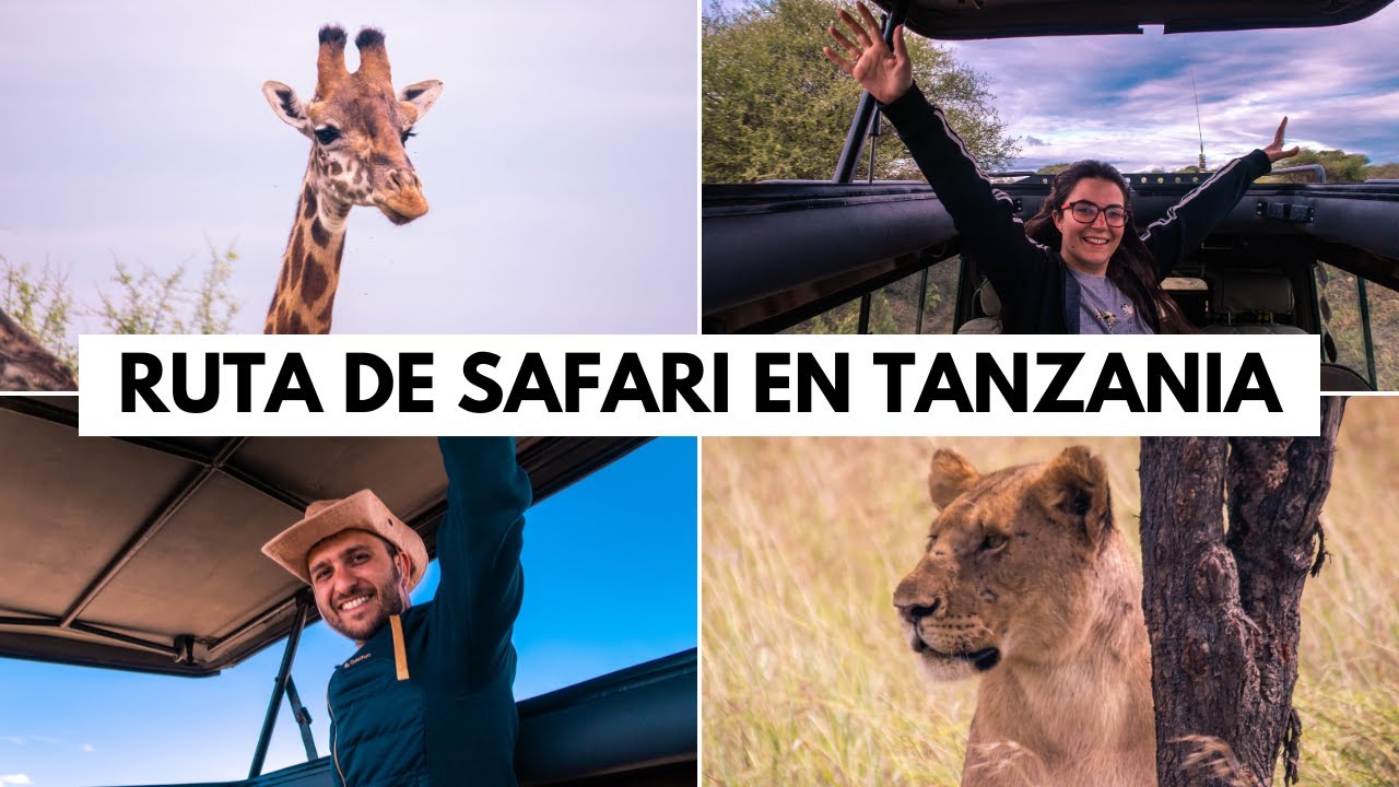 QUÉ VER en TANZANIA de SAFARI en 9 DÍAS | TANZANIA #9 | HONEYMOON #15 | SeguirViajando