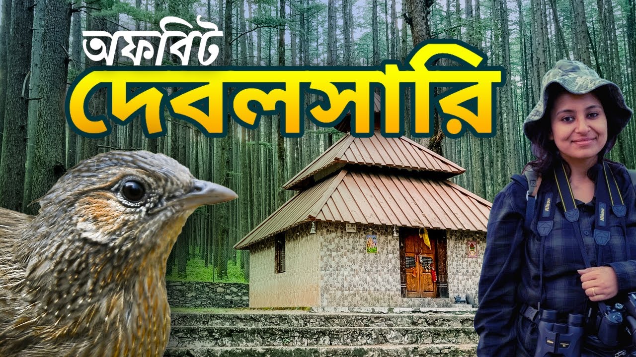 Birds and  Butterflies of Devalsari  | Butterflies of Tehri Garhwal, Uttarakhand | Titli Utsav
