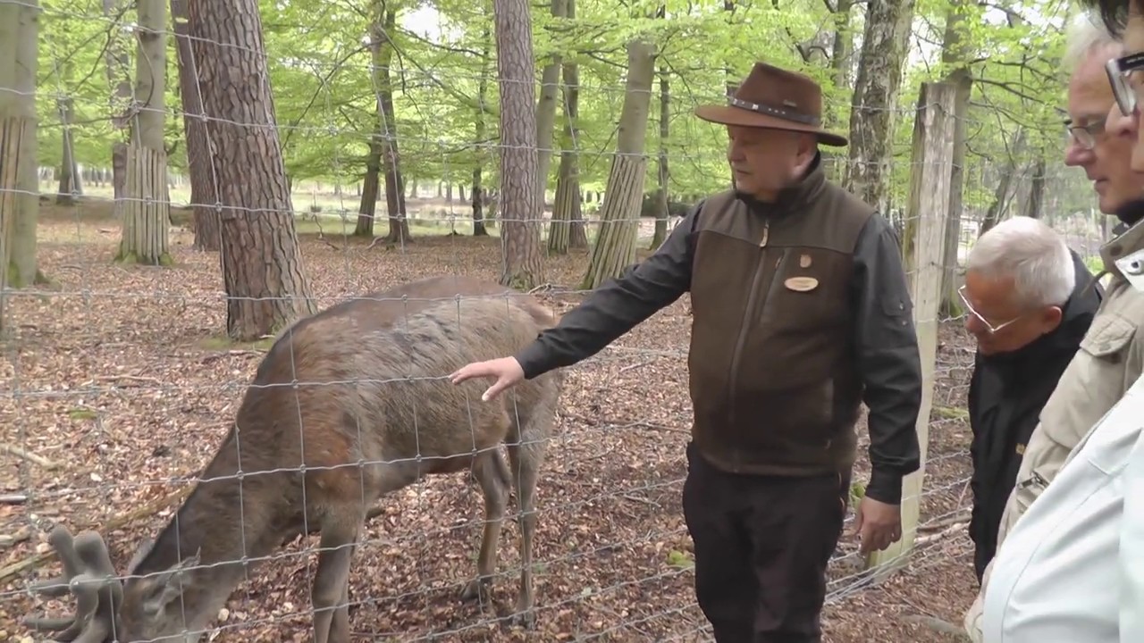 Besuch des Wildparks 