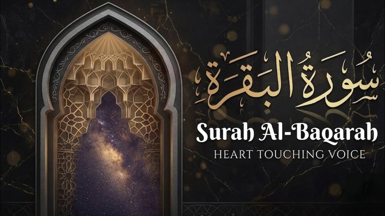 سورة البقرة _ قران الصباح و المساء لحفظ وتحصين المنزل وجلب البركة | Sourah Baqara quran karem