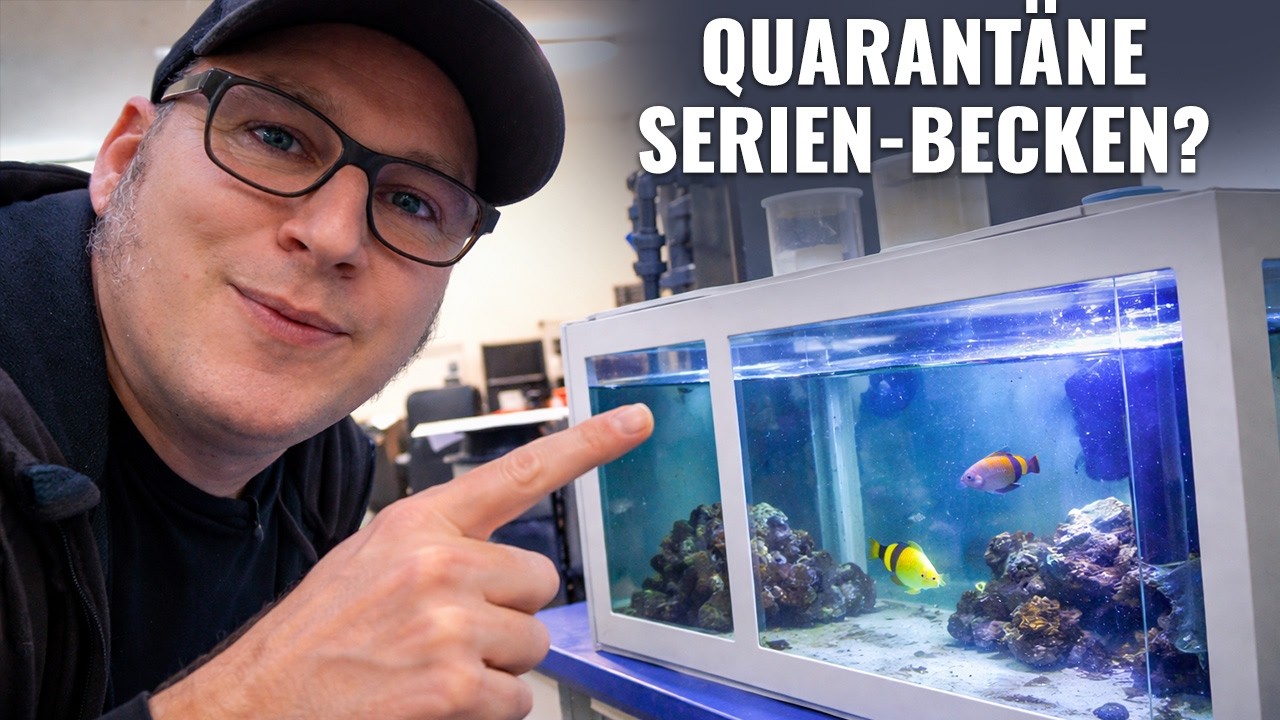 Komplette Quarantäneanlage für Zuhause?! Deltec macht‘s möglich! - Abyzz