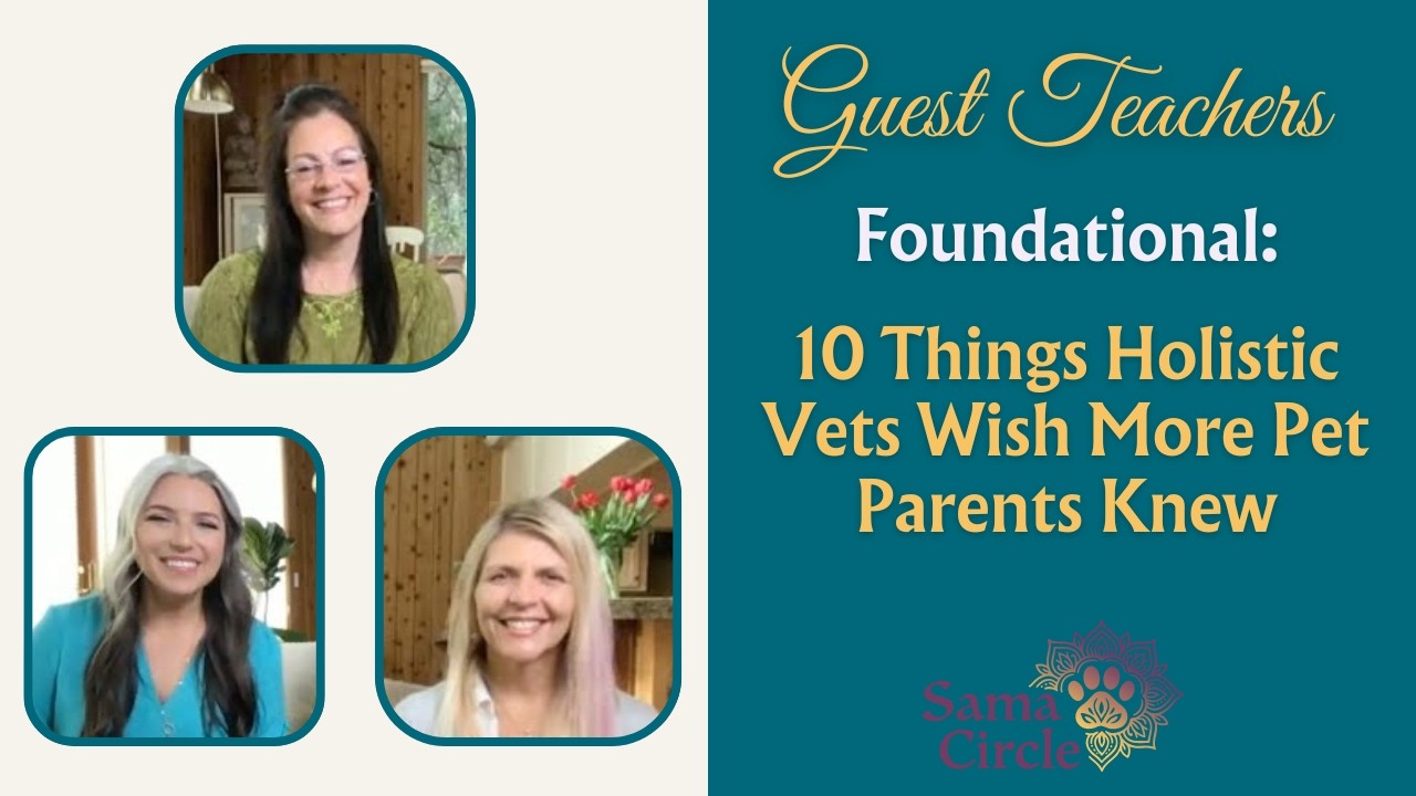10 Things Holistic Vets Wish More Pet Parents Knew