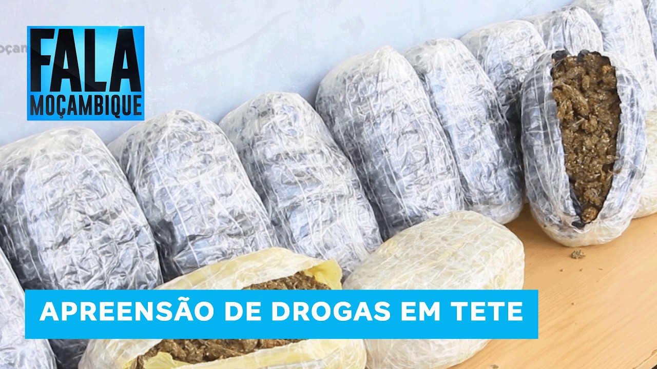 PRM detém cinco cidadãos por tráfico e posse de cannabis sativa e apreende 21kg de drogas