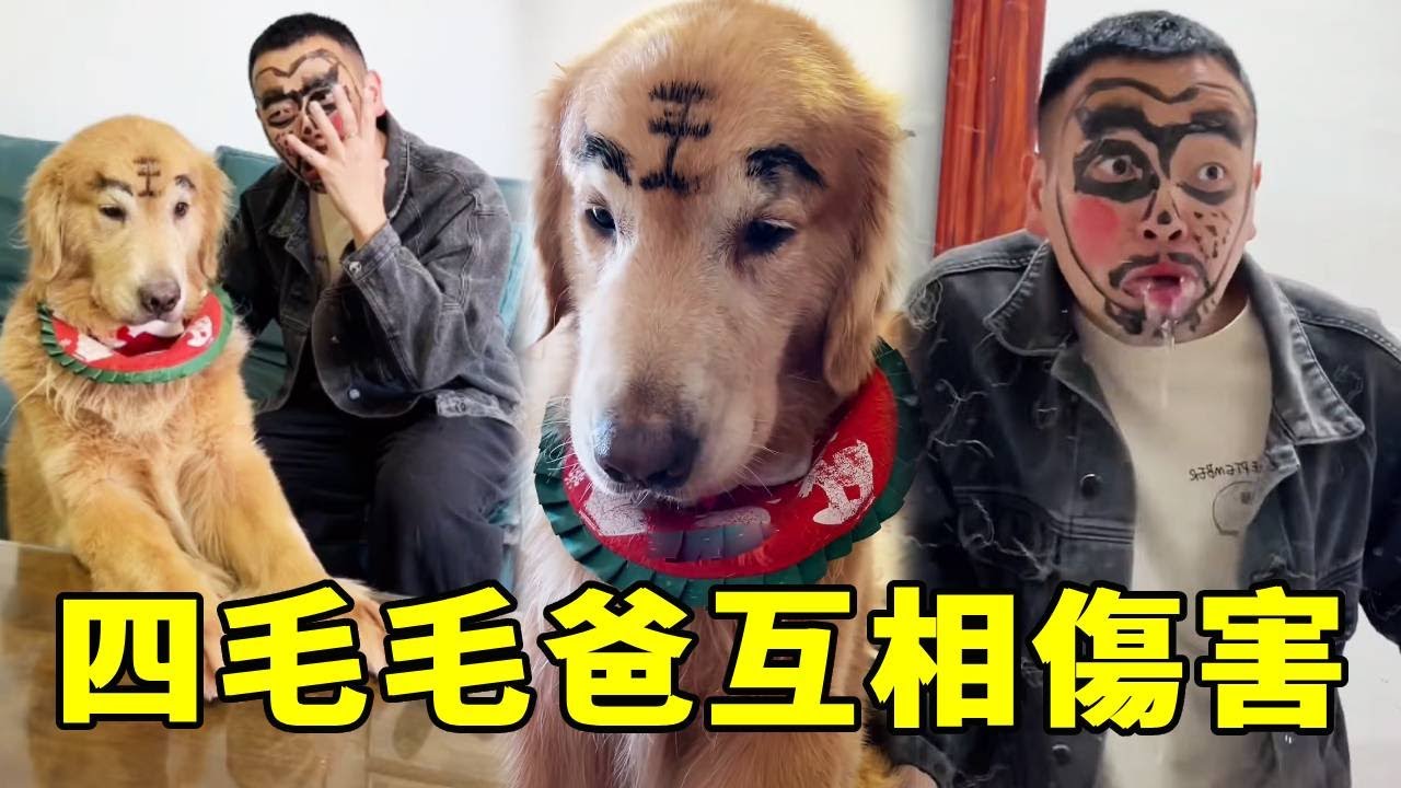 四毛毛爸互相傷害！畫花臉大挑戰，笑不活了家人們！【起错名的四毛】