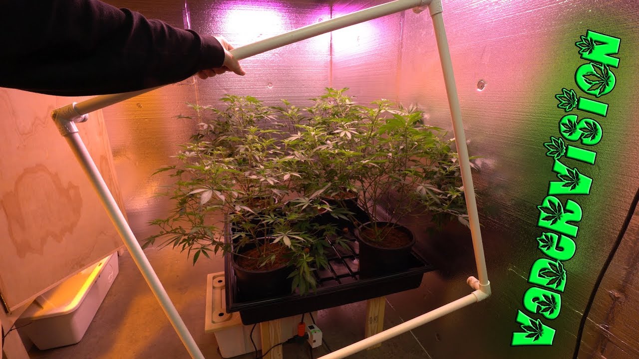 2018 Cali Legal Grow * День 50 * Создание решетчатой ​​рамы для светодиодного лотка