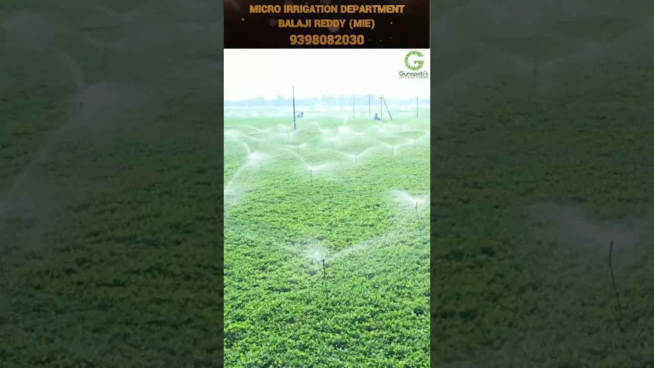Micro irrigation schemes and subsidies #drip #sprinkler #water #irrigation #gunapatis #nellore