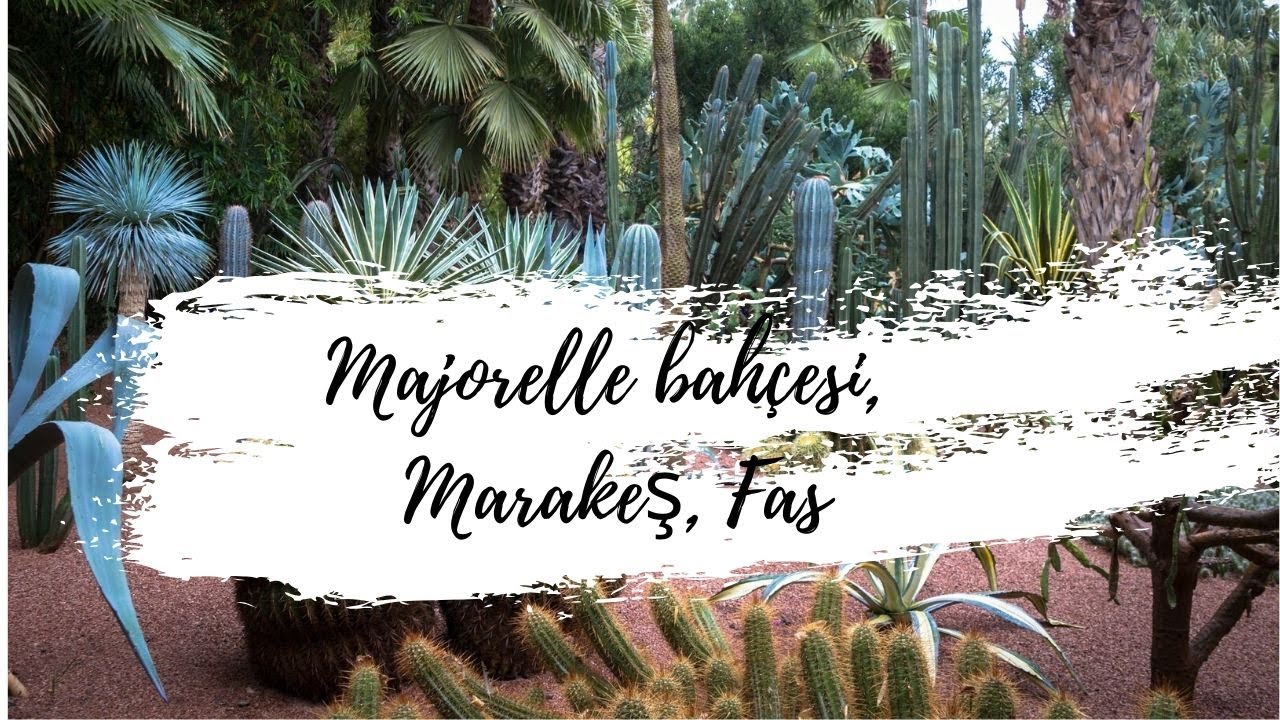 Majorelle bahçesi, Marakeş, Fas 