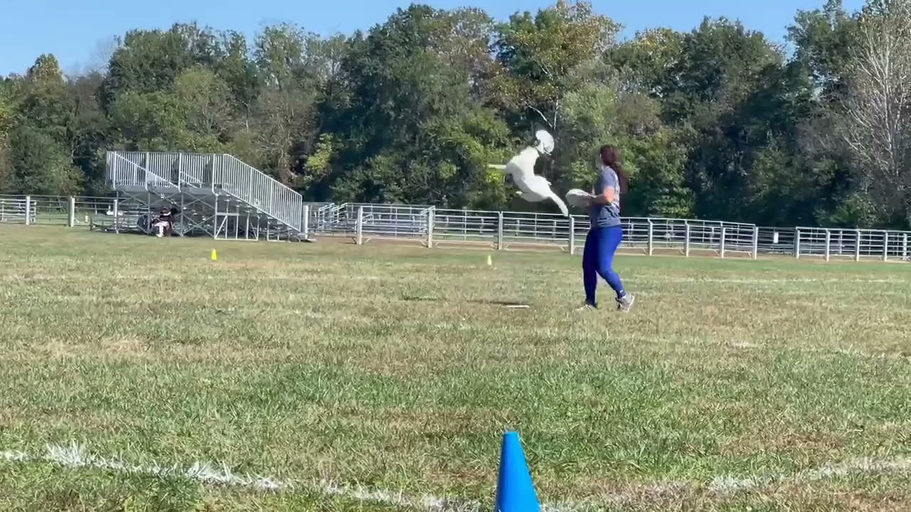 2021 USDDN US National Championships - Andrea and Leap Rd 2