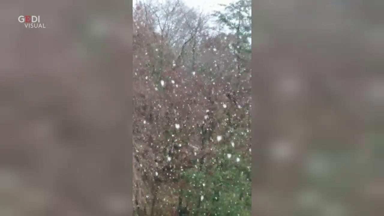 La prima neve di dicembre: le immagini delle strade imbiancate da Tolmezzo a Cervignano