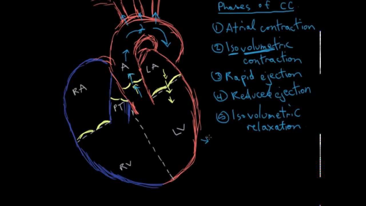 Khan Academy MCAT Comp Vid 1 Cardiac Cycle Phases