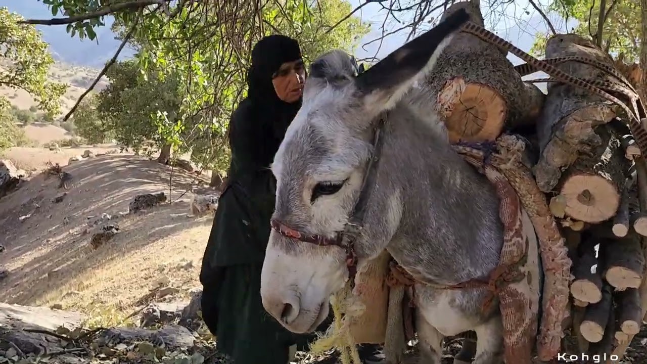 🌿 The Strength of a Rural Mother | Firewood Gathering and Family Life in Iran 🪵🏡