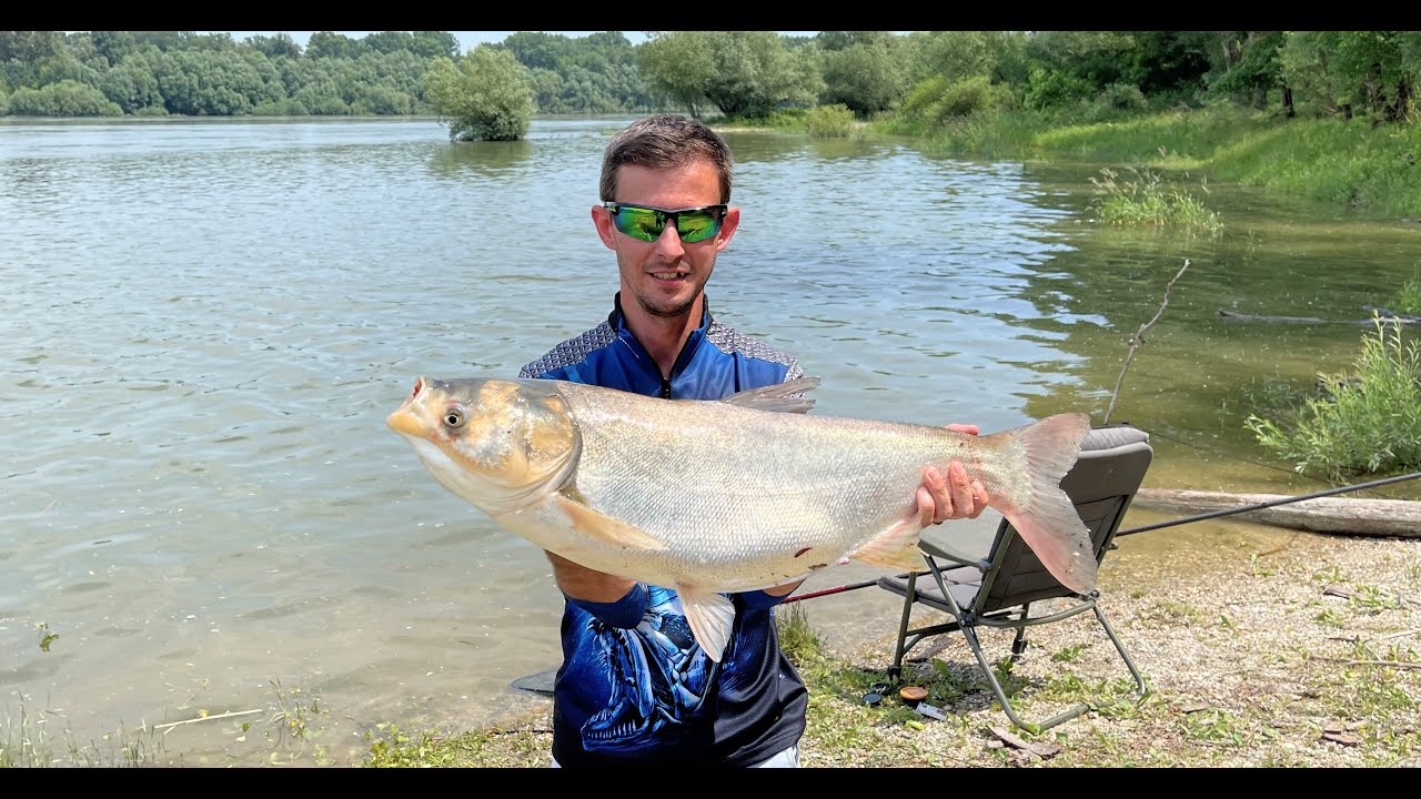 Am scos uriașii din Dunăre!!! Novac de 4 și 7 kg! (video 4k)
