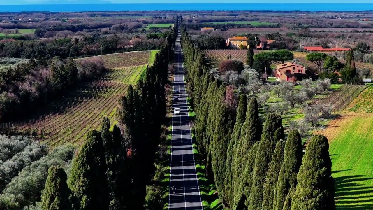 Gita a Bolgheri
