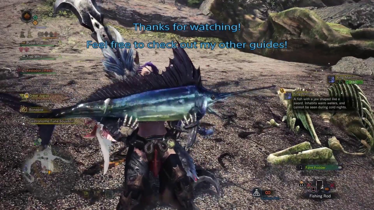 King Marlin, Gastronome Tuna, Great Sushifish | Ancient Forest | MH:World
