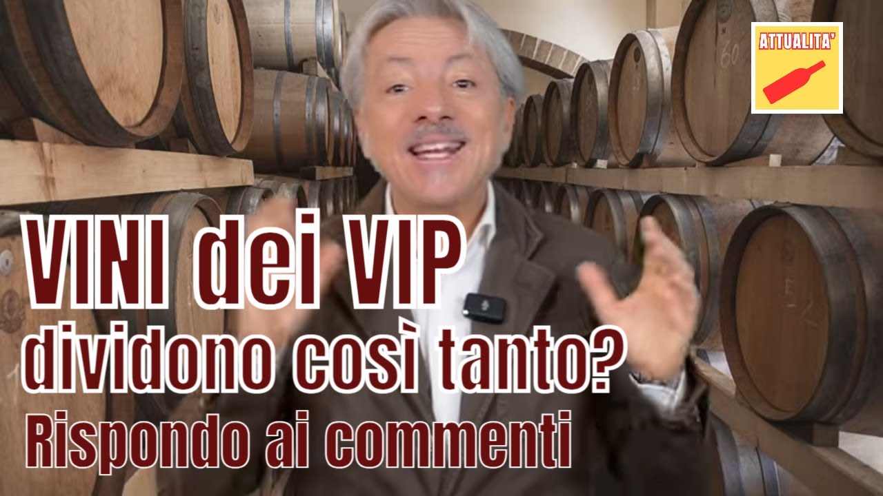 I VINI dei VIP DIVIDONO COSI' TANTO? Rispondo ai commenti
