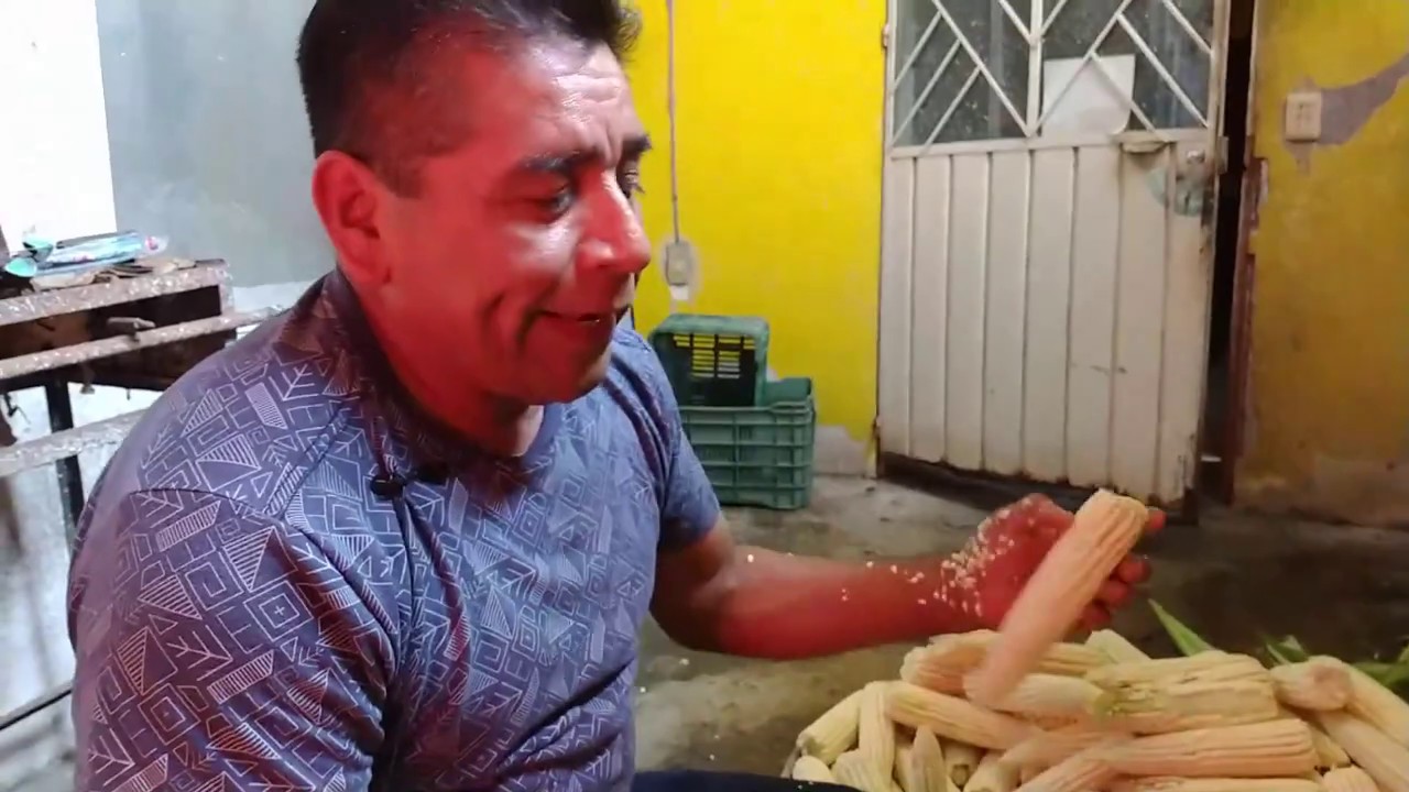 LOS MEJORES ESQUITES Y ELOTES DE MARTINEZ DE LA TORRE VER.
