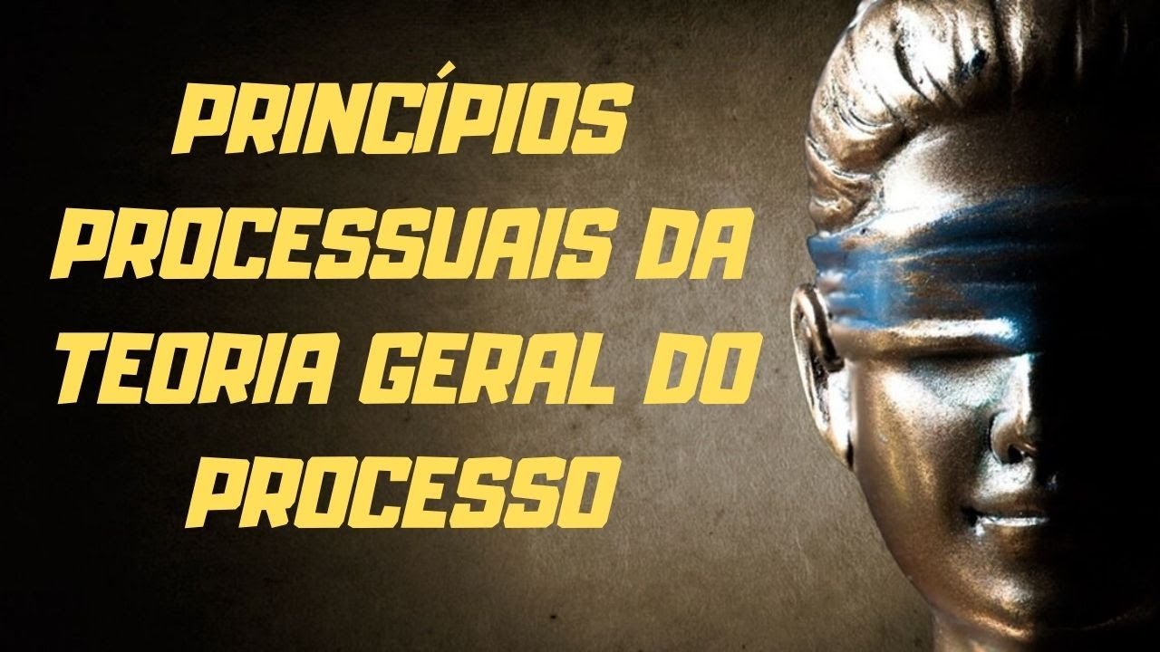 Princípios Processuais da Teoria Geral do Processo