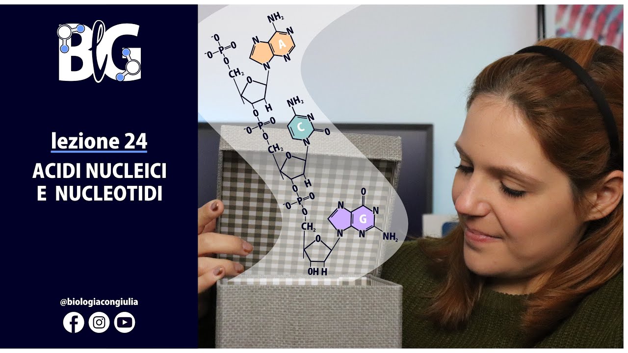 ACIDI NUCLEICI e NUCLEOTIDI