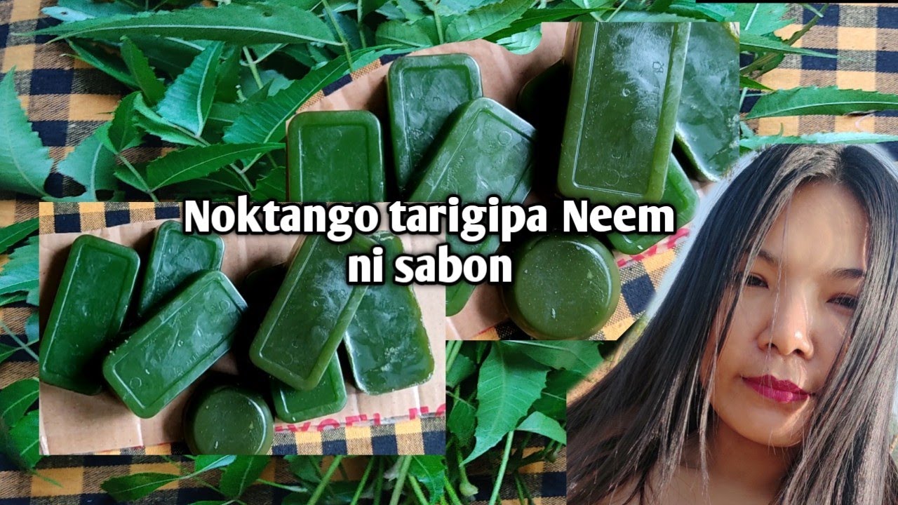 Noktango maidake Neem ni sabonko tarigen//Be.eno kakita donggipana nambea😍
