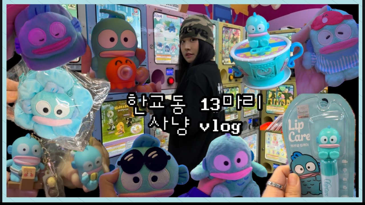 한교동만 13마리 잡는 브이로그 •  교동사냥꾼 EP. 2 • 수원 행궁동