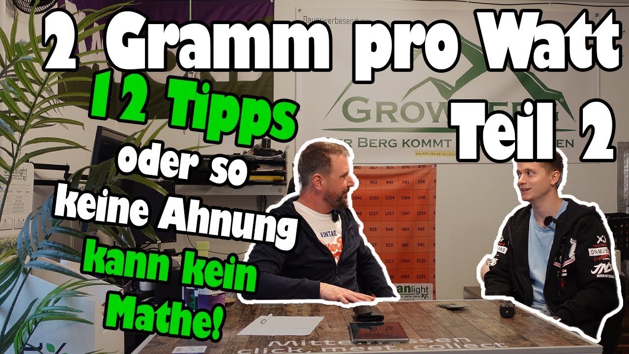 Teil 2: 2 Gramm pro Watt | 10+ Tipps und Tricks | MAXimaler Ertrag | Geduld, Wille, Triat