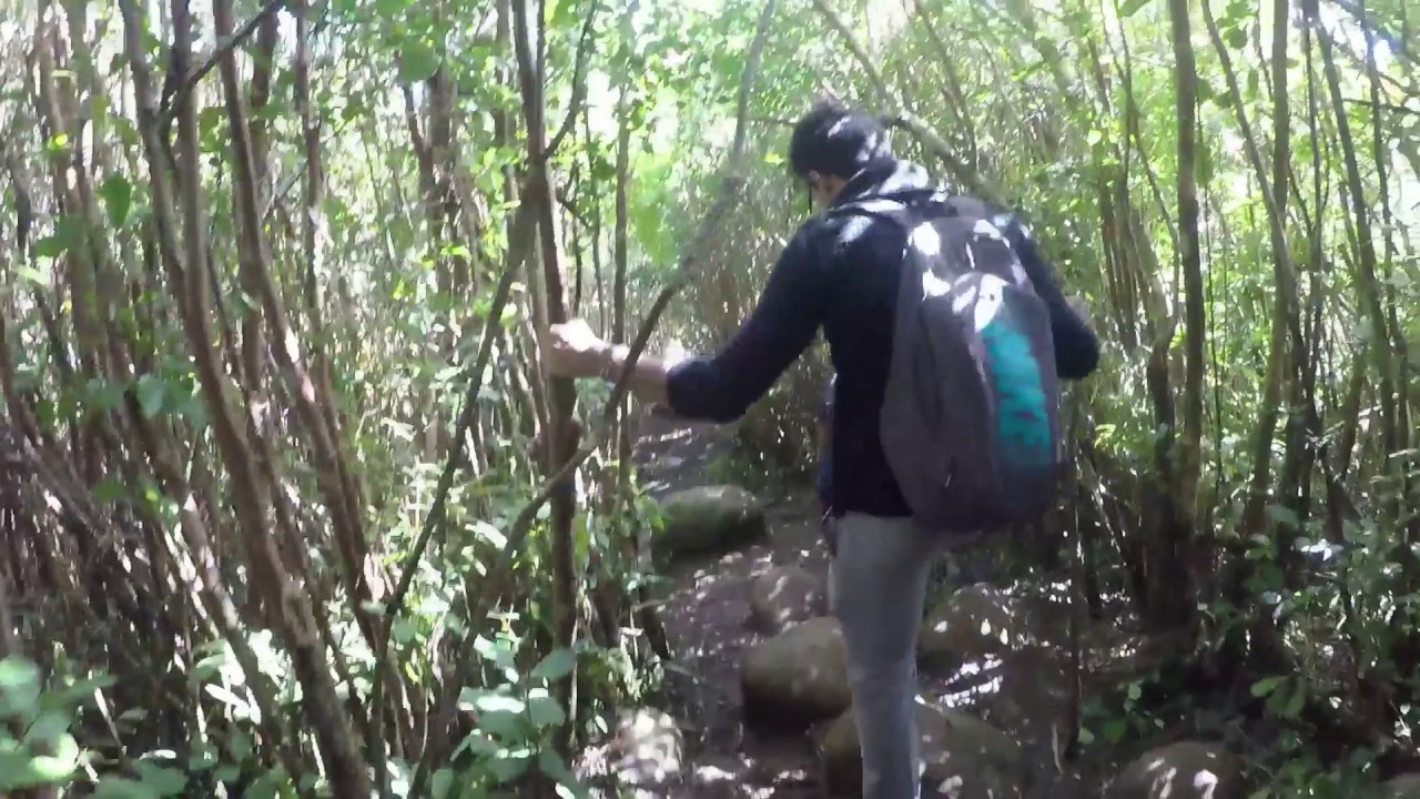 Hiking : Piton de la Petite Rivière Noire (Mauritius) GoPro