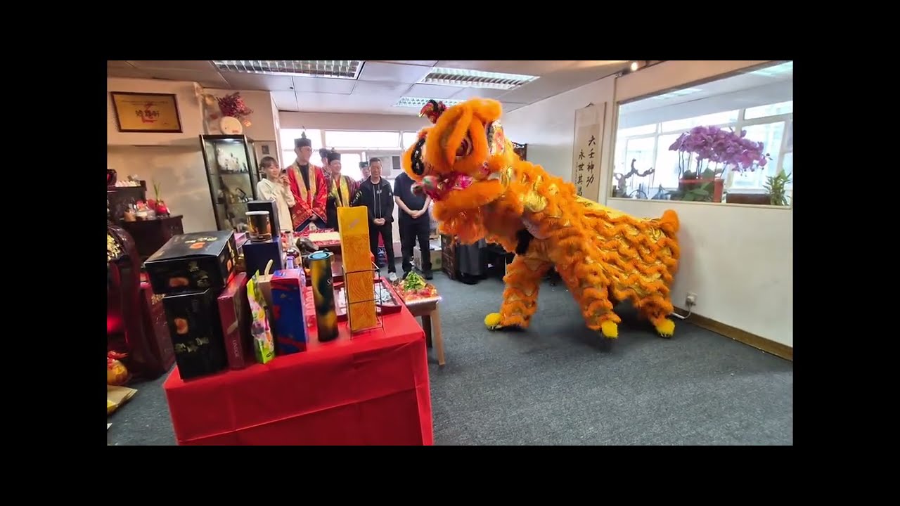 道教妙真雷壇正月初五新春團拜2026 @ 香港陳國健龍獅團 國棟體育會 HK James Chan Lion Dance
