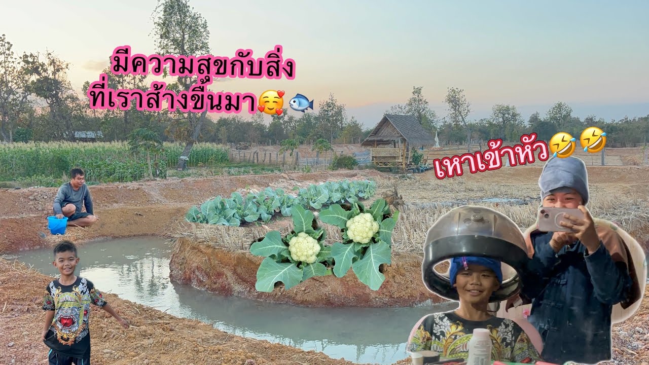 วุ่นเลยที่นี้เหาเข้าหัวทำมี้🤣🤣