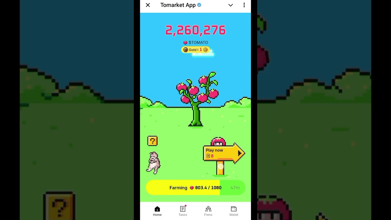 🍅Tomarket Airdrop Combo 5 September | Tomarket Daily Mystery Code Today