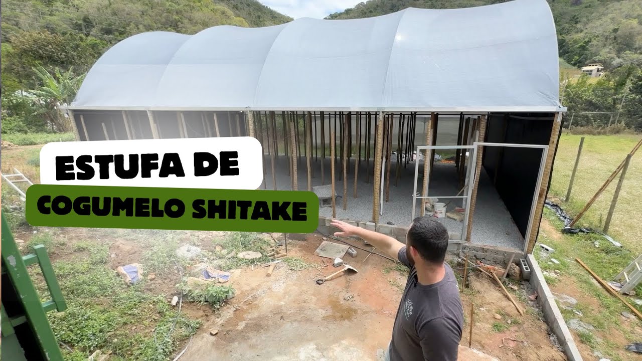 Construção da nossa estufa de cogumelo shitake