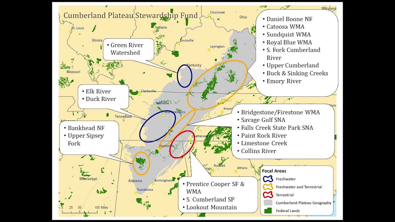 Resources for Restoring and Managing Shortleaf Pine in the Cumberland Plateau