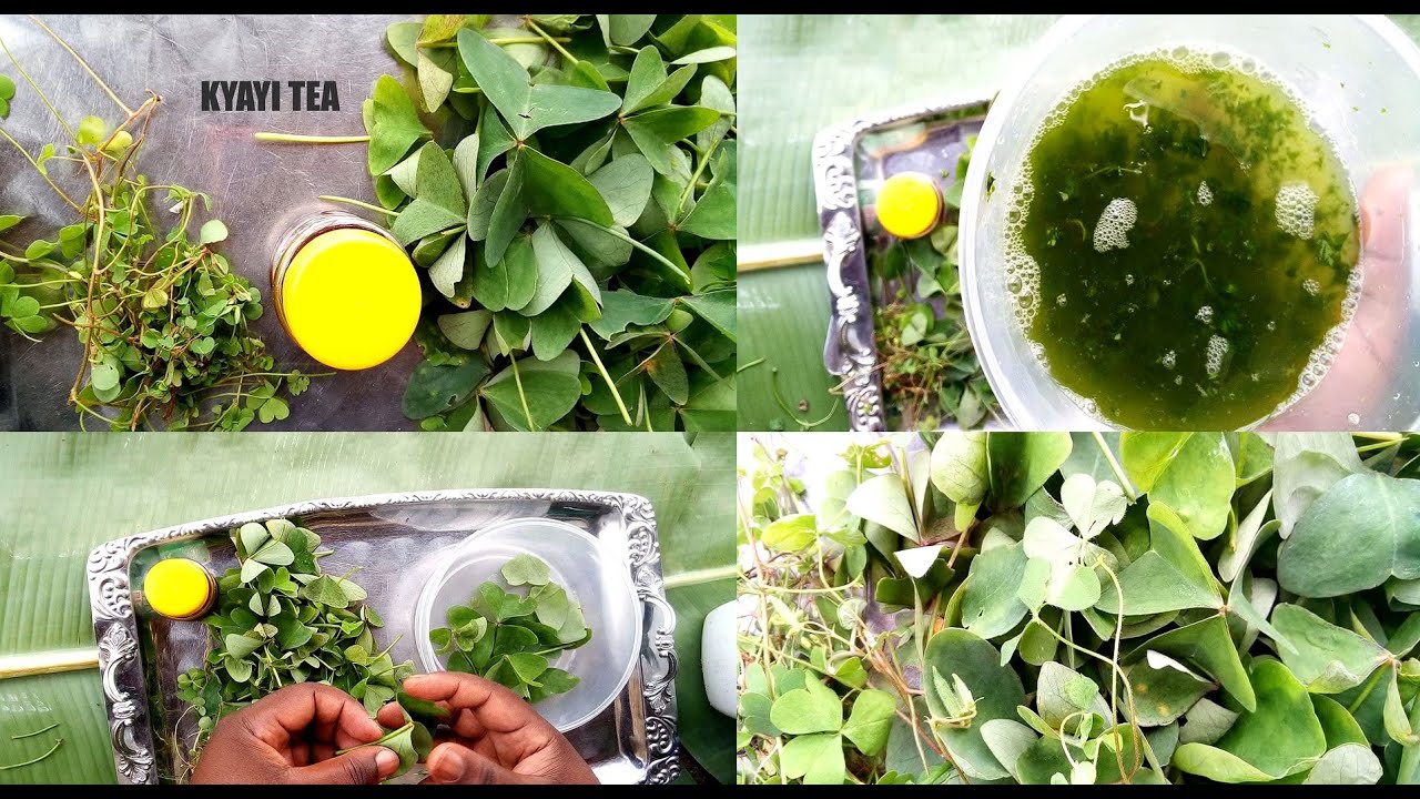 Muwoomya Mana Original Honey Kanyebwa & Kajampuni Bikole Bwotti Onowulira