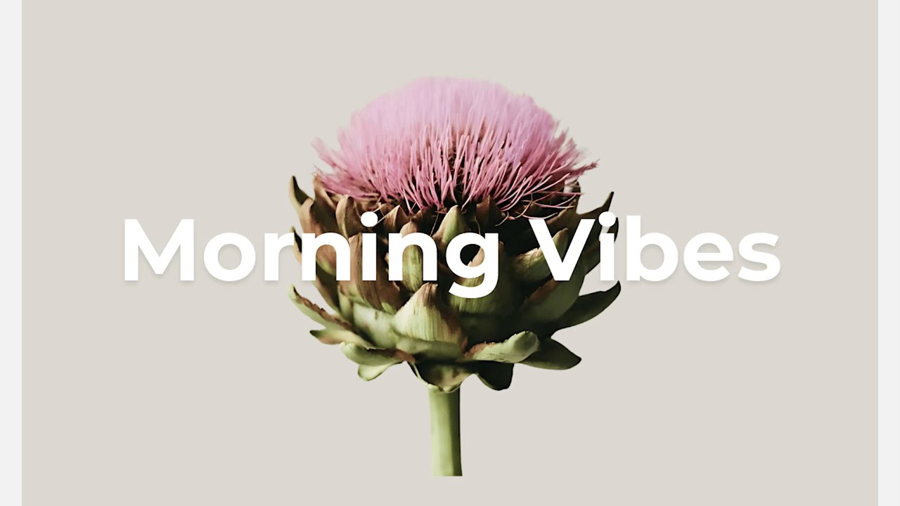 Morning Clarity Mix ☕ Chill Electronica for Study, Work & Focus