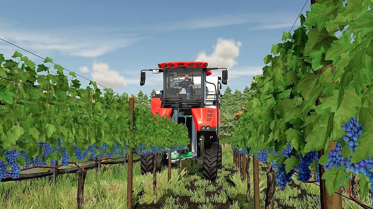 FS22 - Piccola Farm Ep.31 (Vendemmia meccanica nello stretto)