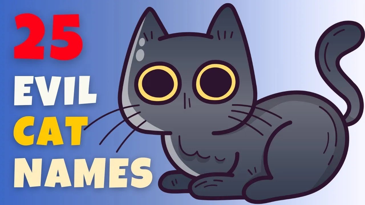 Evil Cat Names   Our 25 TOP & BEST   Ideas For Girl & Boy