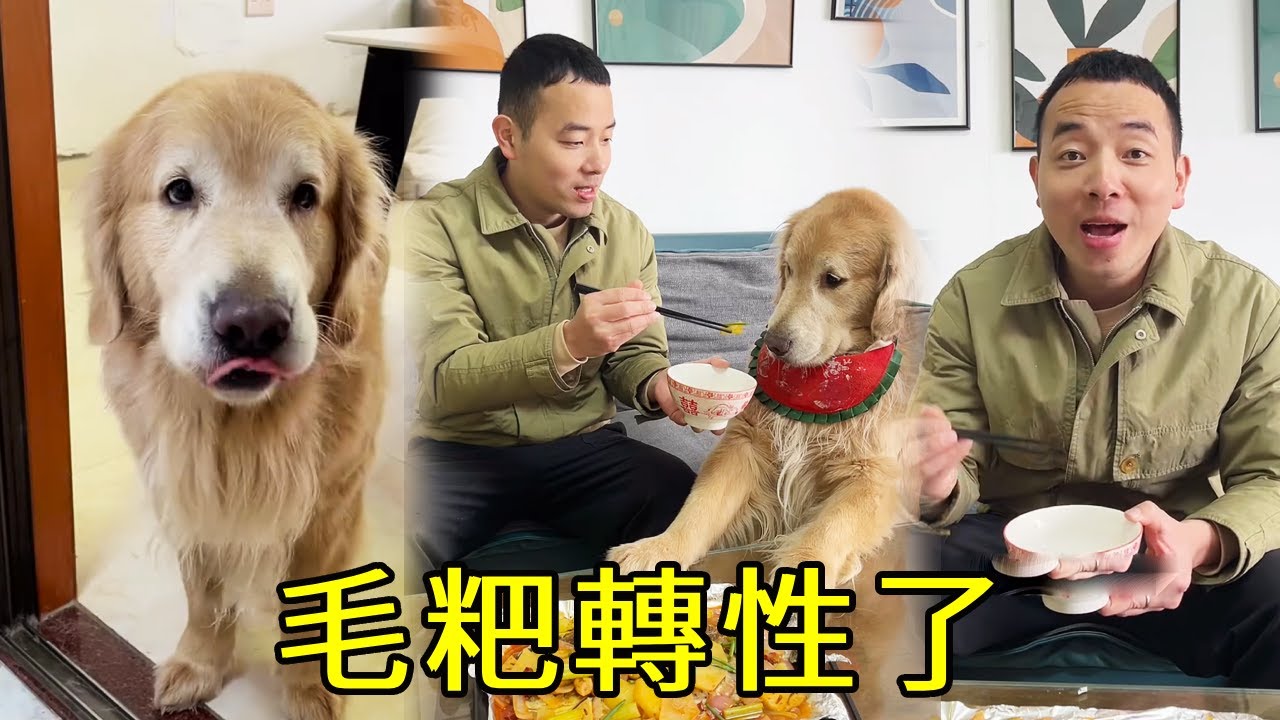 毛粑轉性了！聽到四毛想吃烤魚，竟然立刻滿足了它